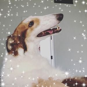 Meet your Posher, Stacy